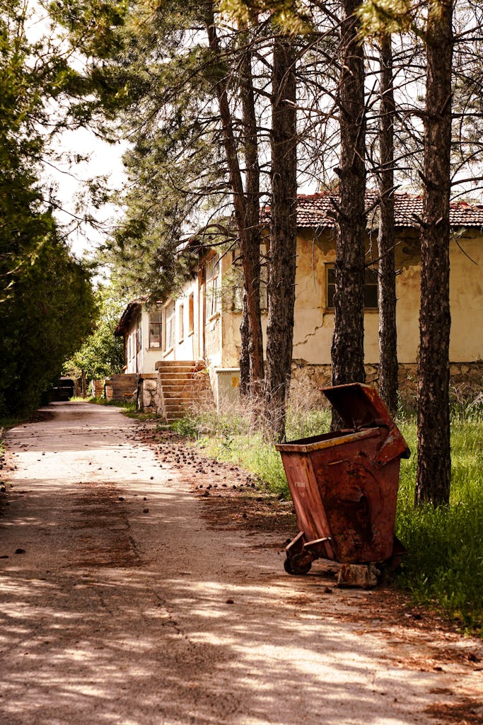 Deserted rural path with old house, pine trees, and a rusty bin under sunlight.